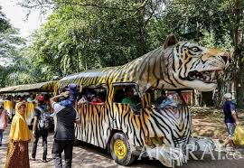 Tiket weekday dan tiket weekend tiket masuk lembang park zoo, belum termasuk berbagai fasilitas yang ada di dalam lembang park zoo. Koleksi Sketsa Zoo 2020
