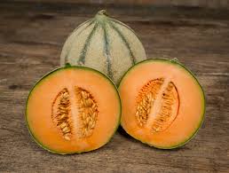 Isn't it lovely, all alone heart made of glass, my mind of stone tear me to pieces, skin to bone hello, welcome home. Schweizer Melone Charentais Von Jucker Farm Liefern Lassen