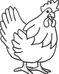 Gambar ayam jago untuk mewarnai berbagi cerita inspirasi. Gambar Ayam