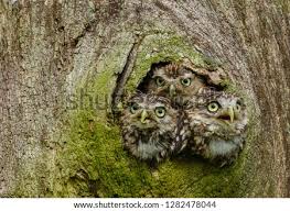 The best thing for fixing the spam filter is us approving the correct posts & comments that have. Shutterstock Puzzlepix