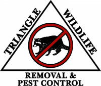 Between the history of the area, the reasonable cost of living, the accessibility of larger hubs nearby, and people's termite & pest control is familiar with the rocky mount, nc area and all the challenges its residences face. Rocky Mount Nc Wildlife Removal Pest Wildlife Control