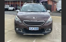 Image result for Brun Guaranja 2014 Peugeot
