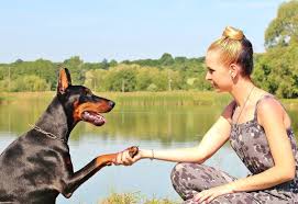Burial in a pet cemetery is usually the most costly option with roanoke rapids, nc pet cremation services the lowest cost option. Pet Cremation Services Cremation Society Of Greater Cincinnati