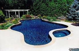 Dark Pool Pool Colors Luxury Pools Backyard Pool Designs
