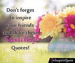 We've summed up 10 inspirational sunday quotes that you need to get you in the mood, not only for today but for the rest of the week. Images Of Good Morning Sunday Quotes 30 Happy Sunday Morning Inspirational Quotes And Images Dogtrainingobedienceschool Com