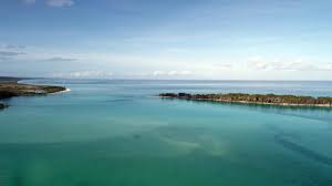 20 top things to do in hervey bay. 15 Best Things To Do In Hervey Bay Australia The Crazy Tourist