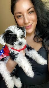 Happy 1st birthday Pandy Poo! 🥳🐾🐾🥹 What a absolute joy you bring into  our lives with your silly personality✨We love you 🦋