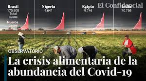 There are no critic reviews yet for crisis. Salud O Comida La Falta De Alimentos Para 2021 Por El Covid De La Que Avisan Fao Y Banco Mundial Youtube