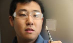 Sunscreen Inspired By Barrier Reef Corals