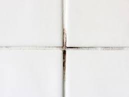 … spray sealer on floor tile. How To Clean Grout Cleaning Grout Stains Hgtv