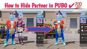 How To Hide Partner From Your Profile Pubg Youtube