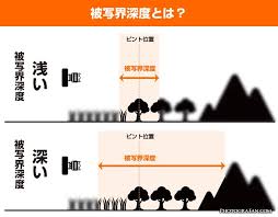 「被写界深度」の画像検索結果