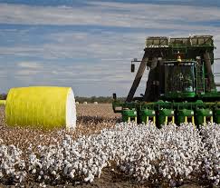 What's the average salary of a cotton farmer? Cotton Australia How Is Cotton Grown