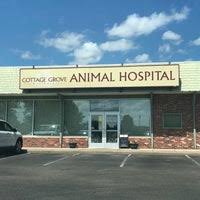 Park grove pet hospital has been providing excellent veterinary service to cottage grove and the surrounding areas for over 40 years! Cottage Grove Animal Hospital Cottage Grove Mn