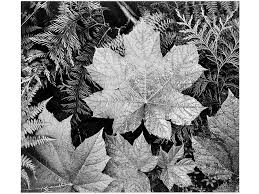 After the civil war, the united states rapidly transformed into an industrial, urbanized nation. History Of Photography Photography S Early Evolution C 1840 C 1900 Britannica