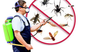 What pest control services operate in your area, and how local are they really? Global Pest Control Market Size 2019 Erc