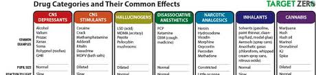 Drug Categories And Their Common Effects The Wise Drive