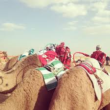 Calculate time and cost helps you compare delivery times and published rates for sending ups shipments to destinations around the world. Things To Do Page 36 2 48am Everything Kuwait