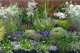 Your Magical Home Grow Your Own Healing Garden Green Magic Medicinal Herbs Garden Herb Garden Design Witch Garden