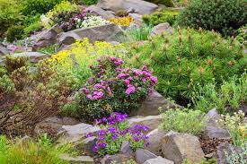 It is a small mound, not less than 30 and not more than 50 cm and a width of if we make a composition on the terrain, it is worth to carefully consider the planting of plants on like any natural corner of our garden, the rockery must live an independent life, with the least. How To Build A Rockery The English Garden
