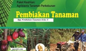 Download Rpp Pembiakan Tanaman Smk Tanaman Kurikulum