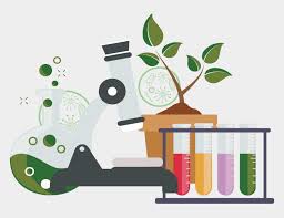 Big image green science clipart free transparent download png., free portable network graphics (png) archive. Biology Science Png Biology Chemistry Science Cliparts Cartoons Jing Fm