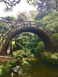 A Taste Of California A Japanese Bridge Sits Beautifully In The Japanese Tea Garden In San Francisco Japanese Tea Garden Tea Garden Outdoor