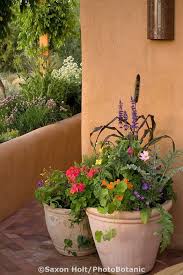 Five people were killed when the basket of their hot air balloon plummeted to the ground in albuquerque, new mexico. Pin On Gardening