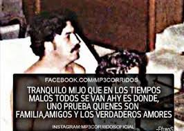 Corridos Vip Life Quotes Spanish Quotes Quotes