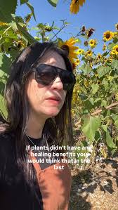 Field thoughts…. , We grow over 60 farm grown crafted products including  all natural skin care, herbal tea blends, spice mixes, salad dressings, hot  sauces and more. , Open Wednesdays to Sundays 10-4 ...