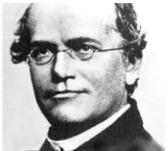 General Overview of Genetics