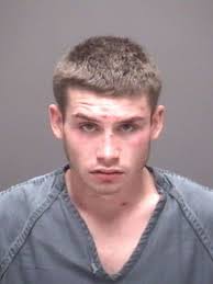 Conroe man charged in fatal horse carriage accident