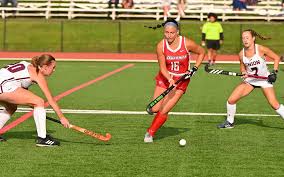 Image result for Emilia hockii