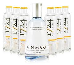 Gin Tonic Set Gin Mare 1724 Tonic Tonic Water Gin Beeren