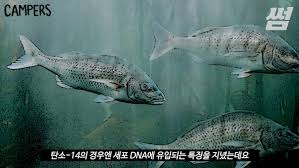 30년후 체르노빌 고방사능 오염지점인 프리피야트의 방사선량은 0.18 ~ 39.32 μsv/h다. ì˜ìƒ ì›ì „ê´´ë‹´ ì™œ í›„ì¿ ì‹œë§ˆ ì˜¤ì—¼ìˆ˜ ì† ë°©ì‚¬ì„± ë¬¼ì§ˆì— ëŒ€í•´ ê¼­ ì•Œì•„ì•¼ í•  21ê°€ì§€ íŒ©íŠ¸ë§Œ ê³¨ëžë‹¤