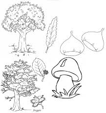 La Montagna Disegni Da Colorare Geometric Tattoo Flora Geometric