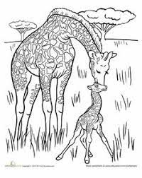 The drawing of the giraffe also shows the little artists the proportions of the animal, teaching your children about size. 18 Mom And Baby Animal Coloring Pages Ideas Animal Coloring Pages Coloring Pages Coloring Pages For Kids