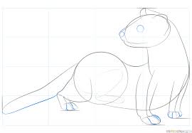 How To Draw A Black Footed Ferret Step By Step Drawing Tutorials Drawing Tutorial Owls Drawing Drawings