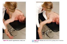 Image result for Fulcrum Test