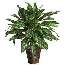 Nearly Natural 31 In Silver King With Basket Silk Plant 6615 With Images Silk Plants Artificial Plants Decor Plants