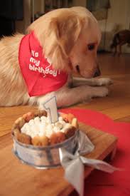 Gateau D Anniversaire Pour Toutou Birthday Cake For Dogs Pastel De Cumpleanos Para Perritos Je Cuisine Donc Je Suis Gateau D Anniversaire Pour Chien Gateaux Pour Chiens Recettes Pour Chien
