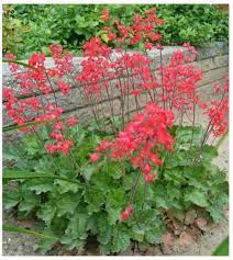 Характеристики