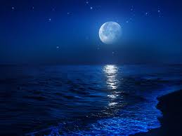 Find out what the moon phase is on any other this is the percentage of the moon illuminated by the sun. Earth Moonstruck With Its New Mini Moon A Look At Some Spectacular Lunar Miracles The Economic Times