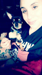 Lost American Red Nose Pitbull in Kilpatrick/Crossville area