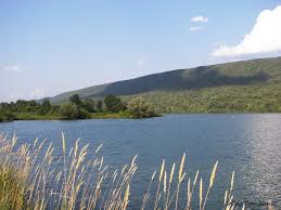 The state park was created in 1951 following the contribution of several parcels of land by multiple donors. Bald Eagle State Park A Pennsylvania State Park Located Near Bellefonte Lock Haven And State College