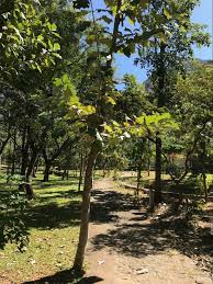 144 likes · 118 were here. Indien Hermitage Kanyakumari Tamil Nadu Hotel Reviews Photos Rate Comparison Tripadvisor