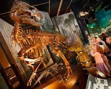 Immagine di National Museum Cardiff, Cardiff