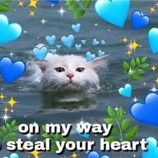 This is not a computer memes, untitled, black, white, phrase. 3 3 Cat Catto Caddo Sadcat Fatcat Kitten T Cryingcats Cute Cat Memes Cute Memes Wholesome Memes