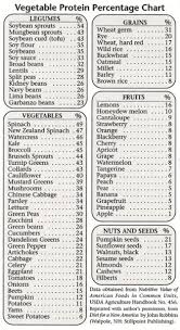 Protein Content Vegan Whole Foods Reference Food Food