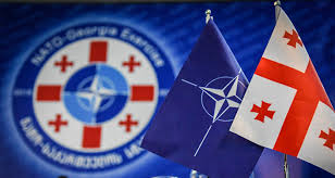 Bildergebnis für НАТО  Грузия с Россией